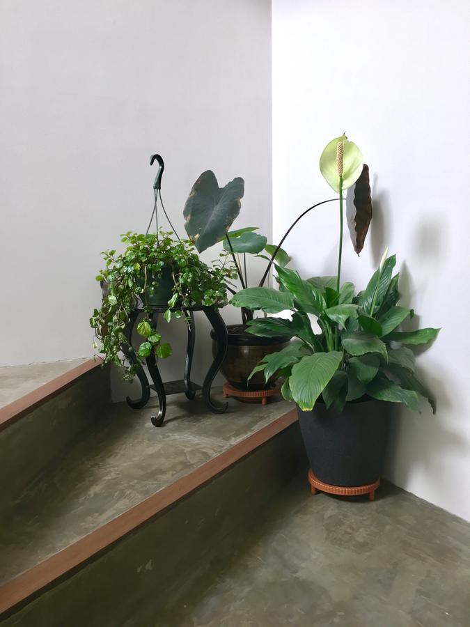 Casa Lelyte Bed & Breakfast Bogota Bagian luar foto